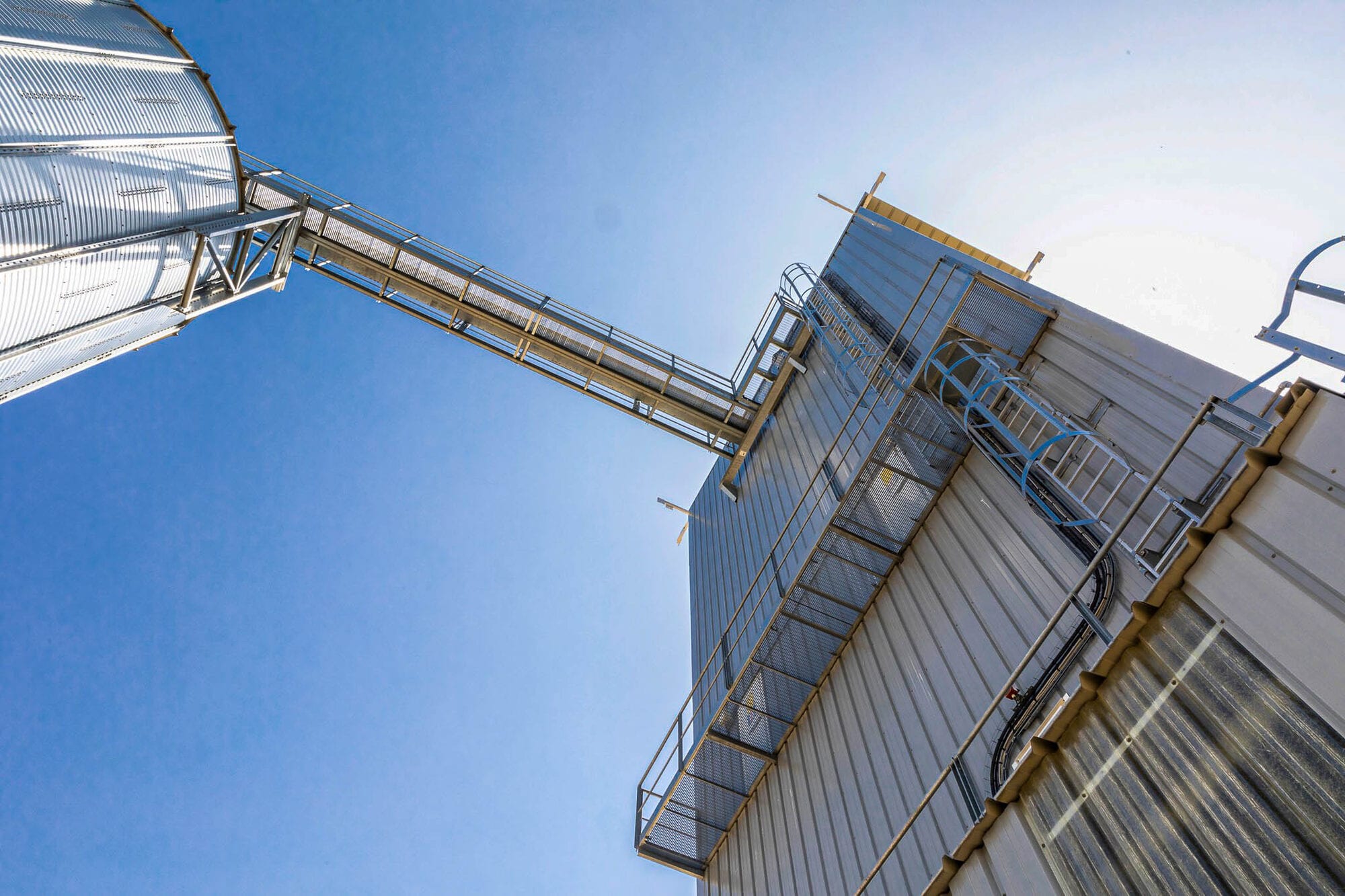FAO vertical grain dryer for buckwheat