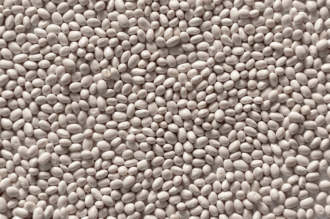 Beans