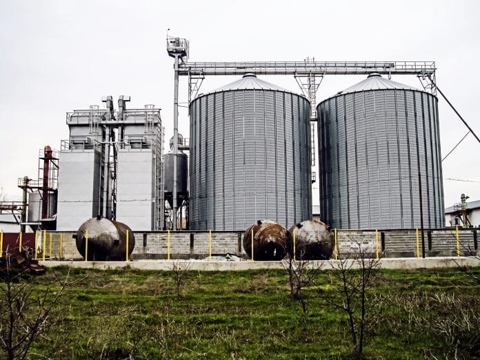 Grain Plant with Batch Grain Dryers