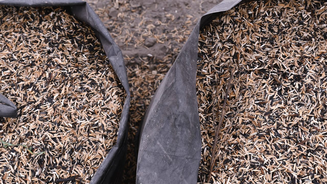 Grain hulls (rice, oat)