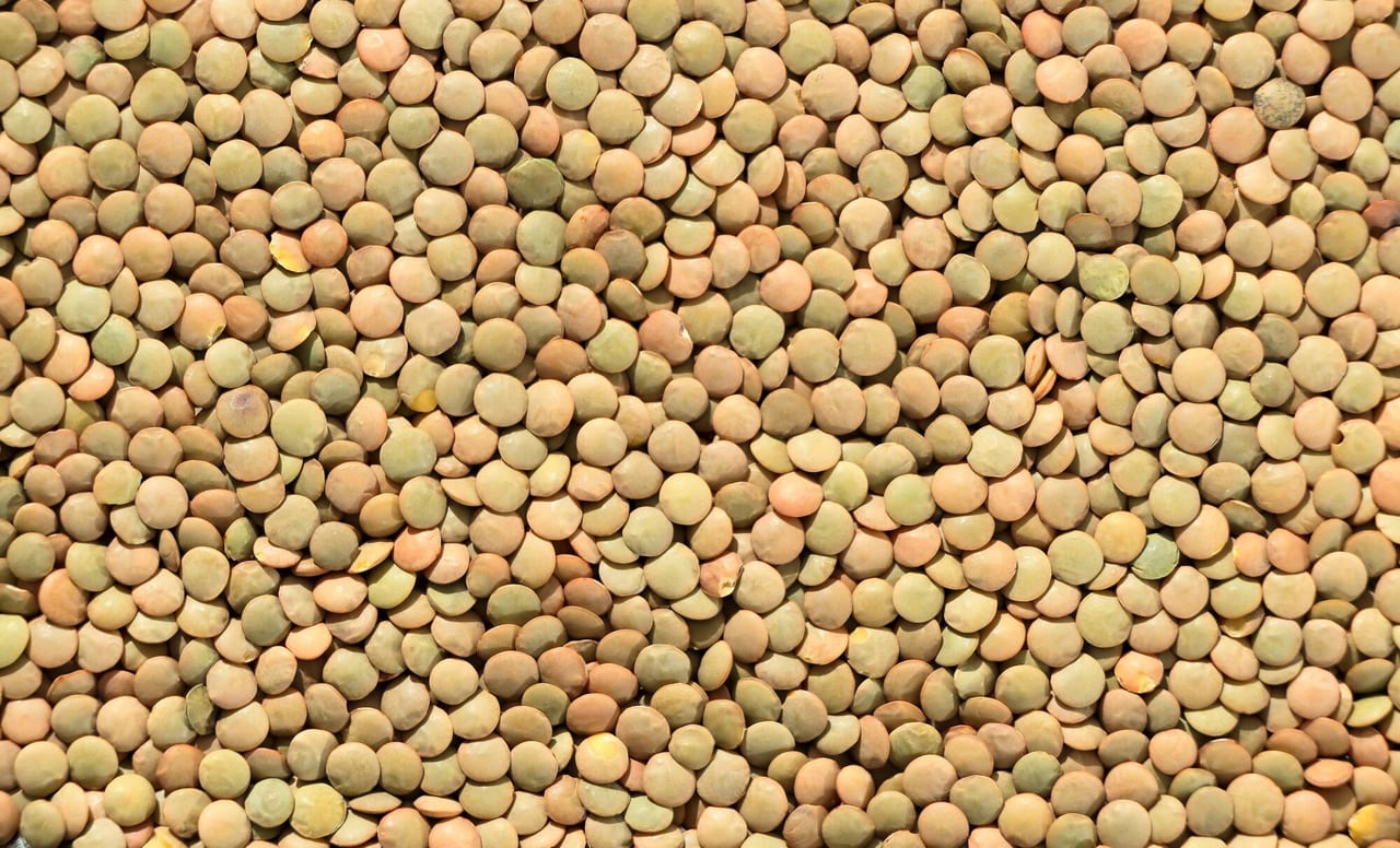 Lentils