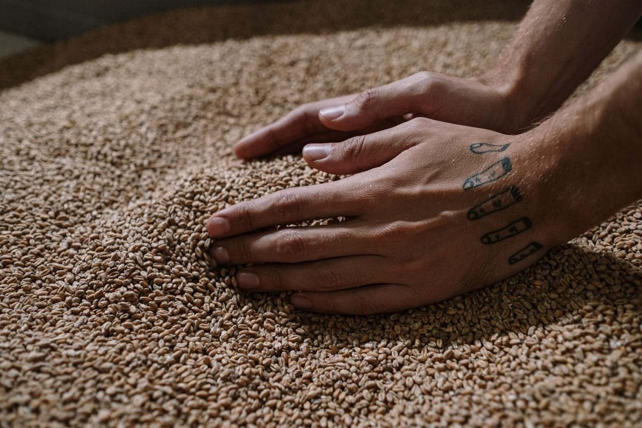 Malt