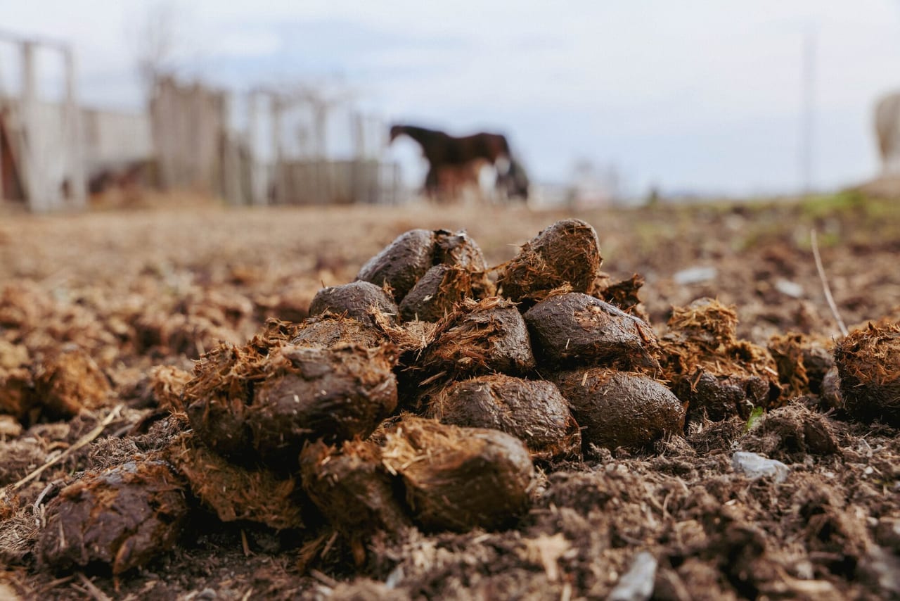Other types of manure