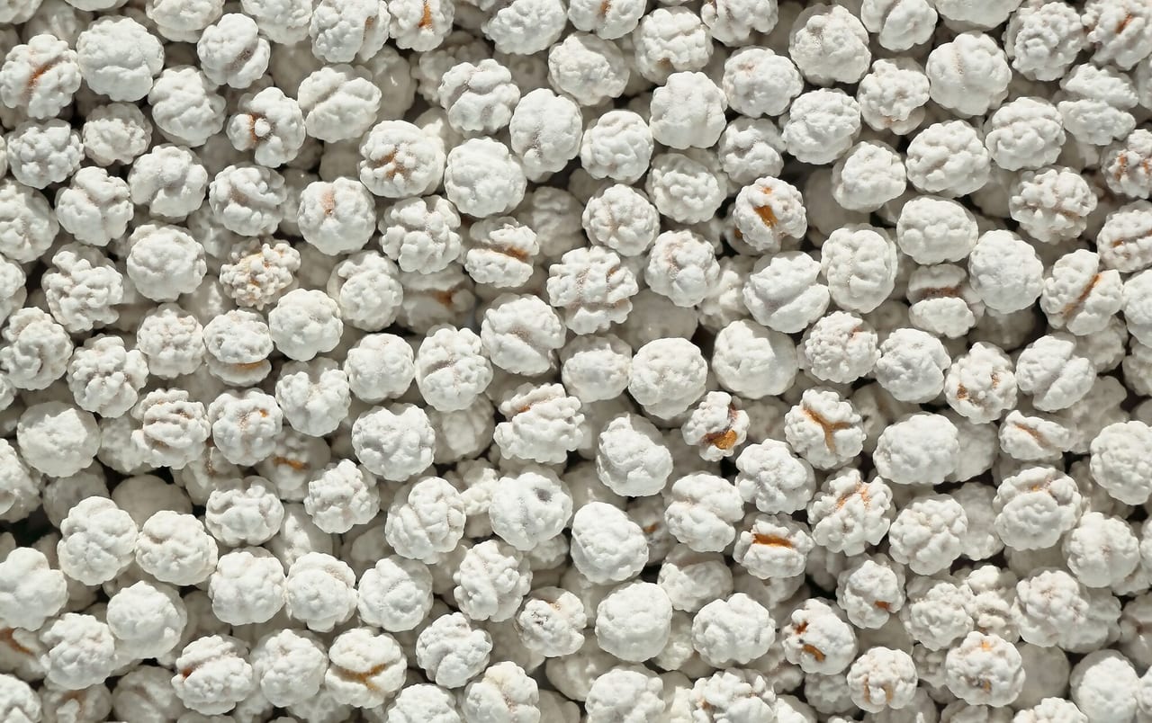 Pelleted / coated seeds