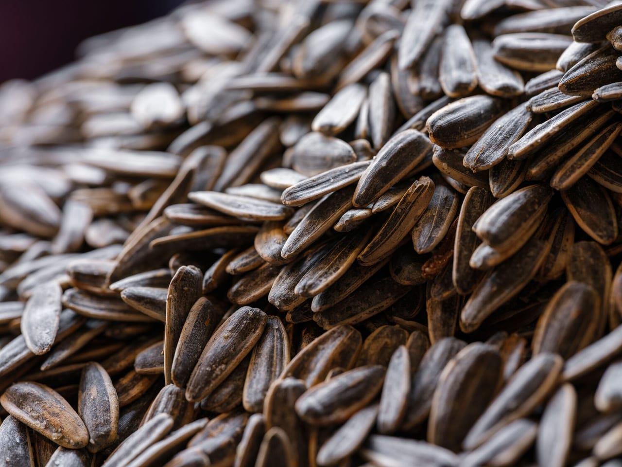 Oilseeds