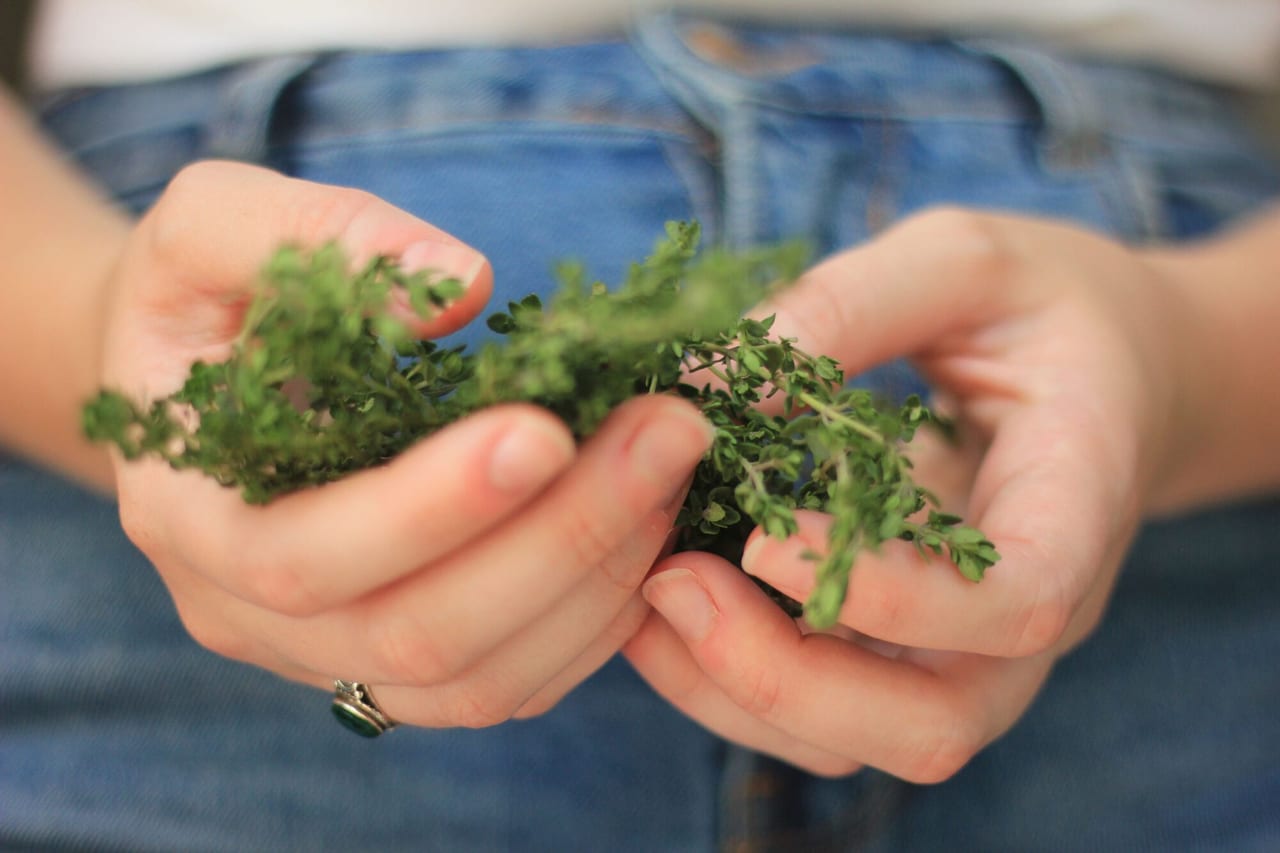 Thyme