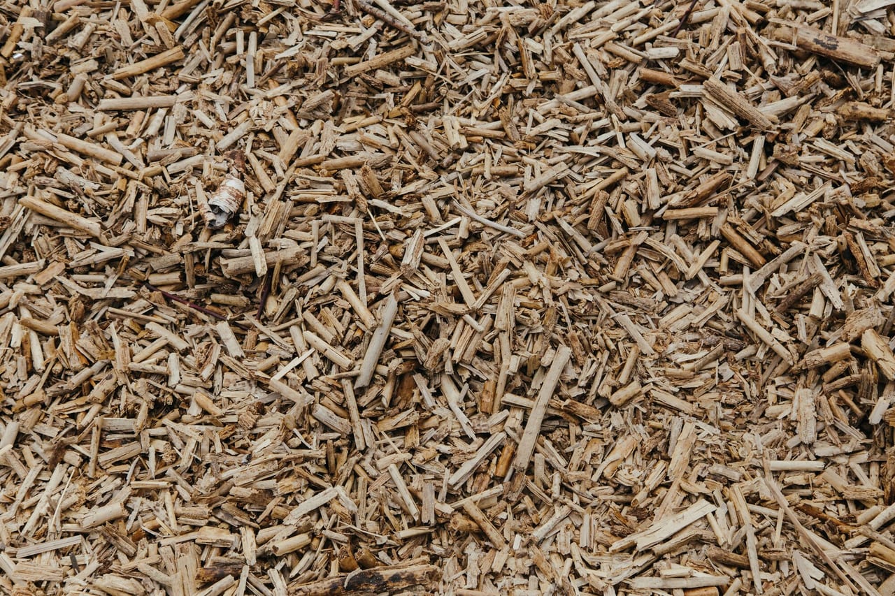 Wood chips, sawdust and shavings